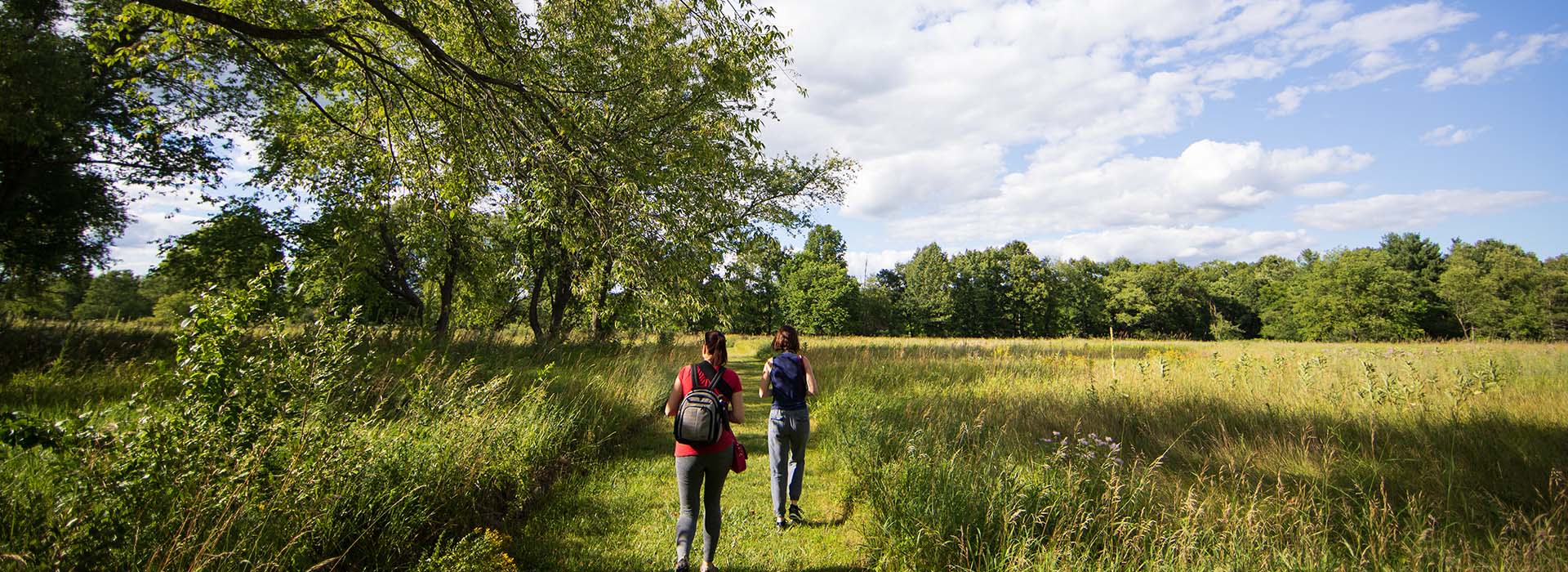 Shelby Twp Park (MI) : Stony Creek Metropark