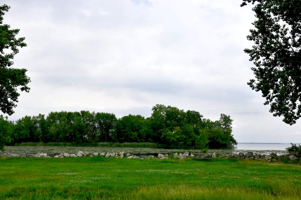 Lake Erie Metropark Shoreline Project To Enhance Park For Wildlife