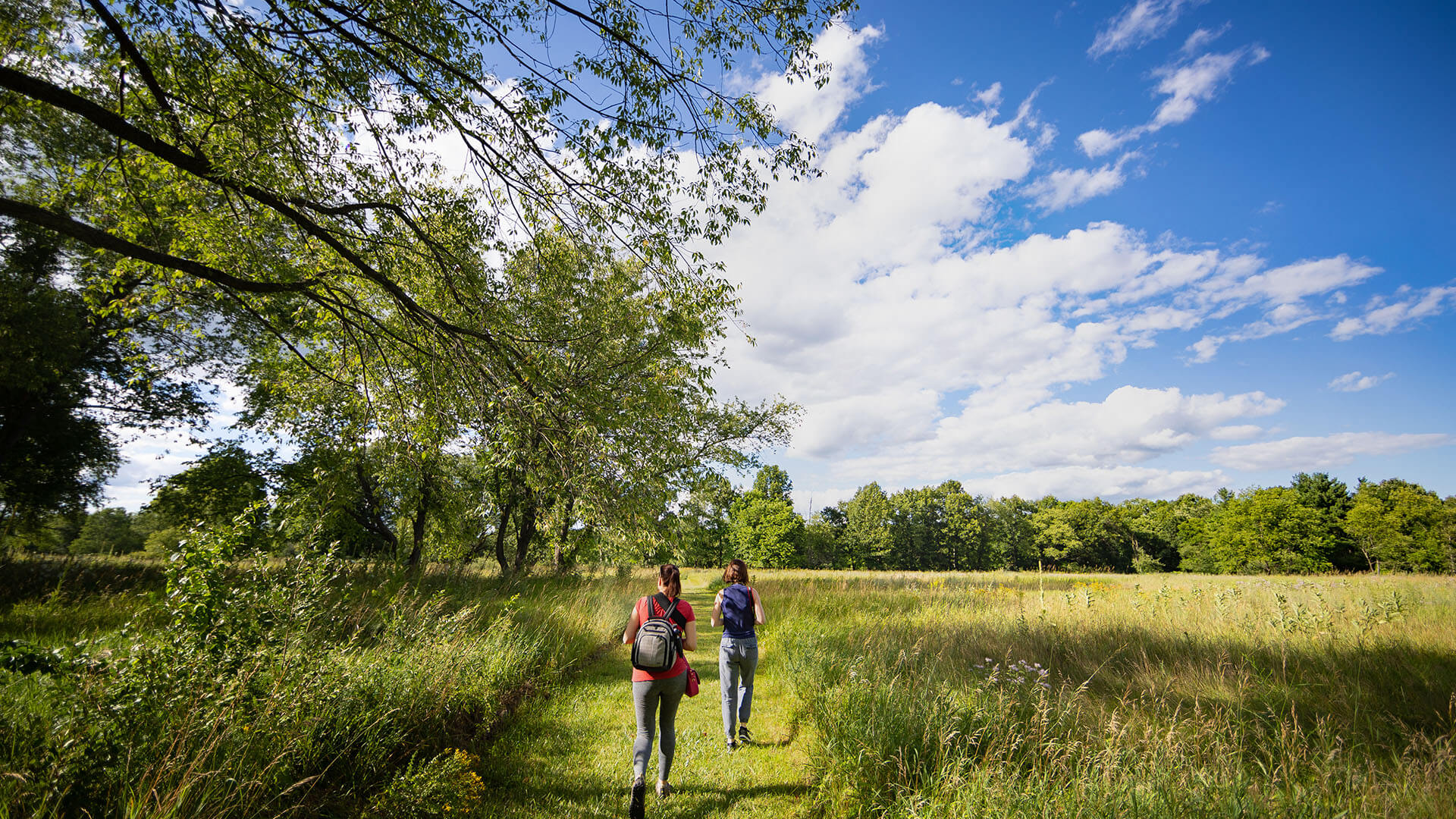 Stoney Creek Metro Park - Best Outdoor Things To Do in Shelby Township -  Acadia Homes