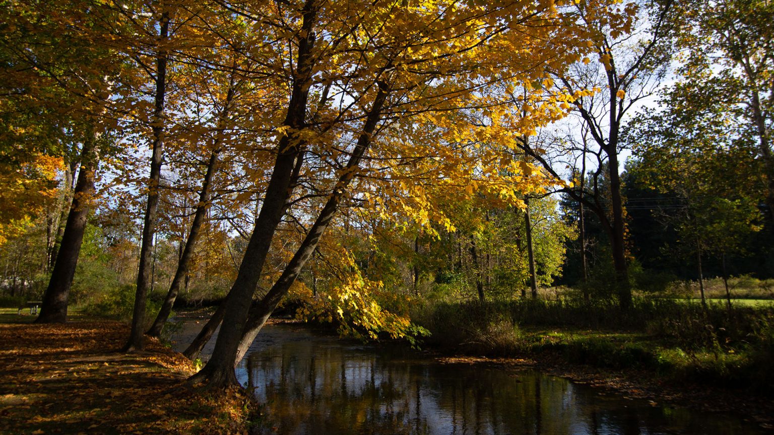 Wolcott Mill Metropark Historic Center HuronClinton Metroparks