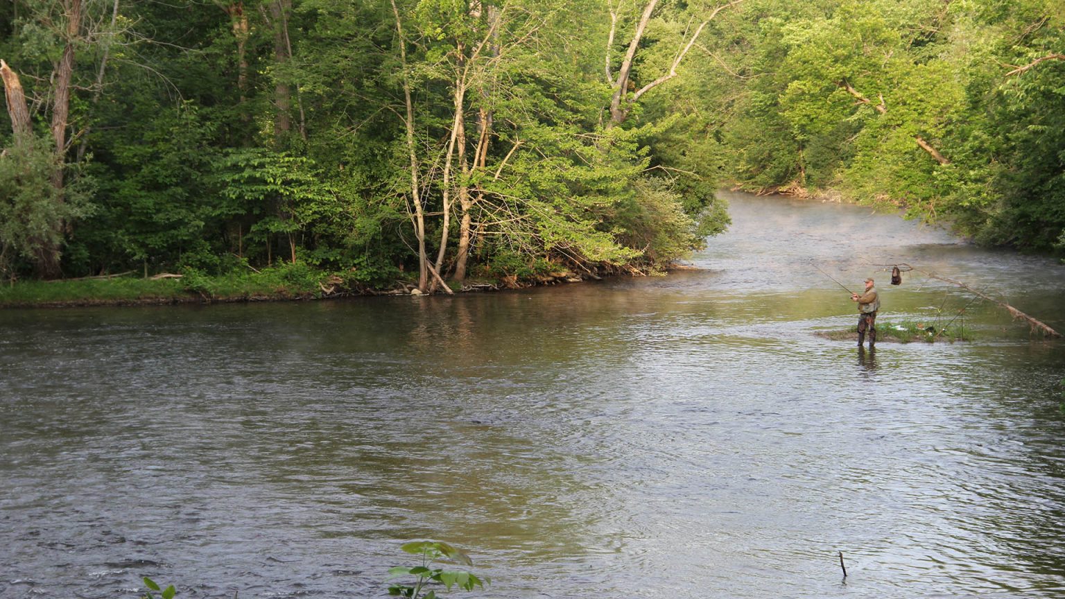 Hudson Mills Metropark HuronClinton Metroparks