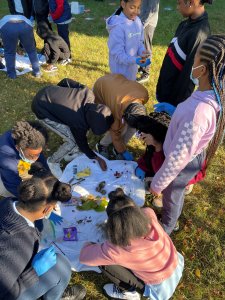 group of students learning outside in their schoolyard