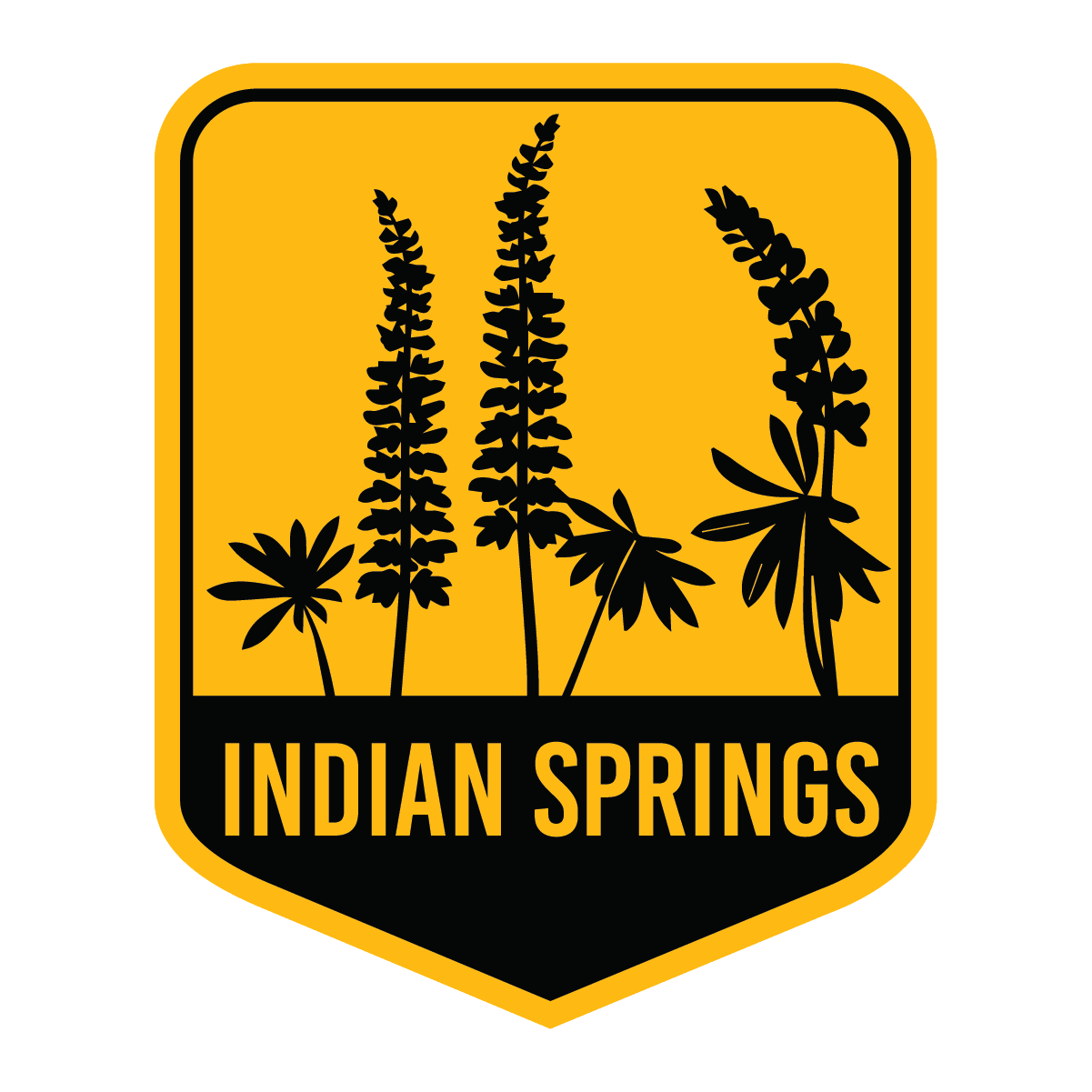 Indian Springs Metropark